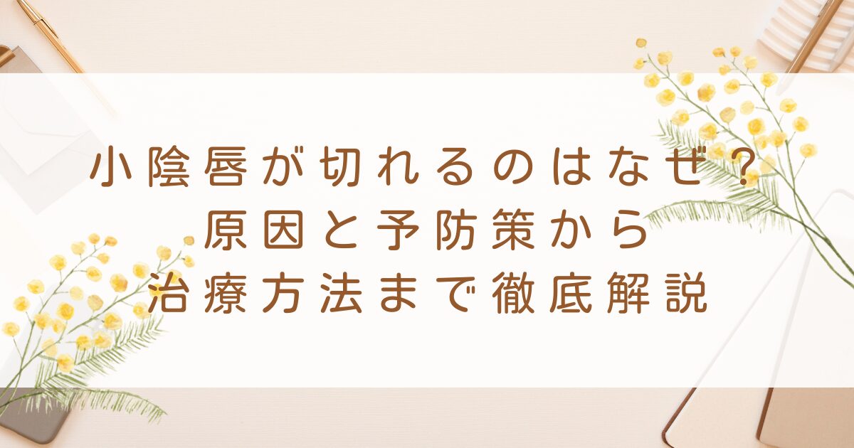 小陰唇が切れるのはなぜ？原因と予防・対策から治療方法まで徹底解説